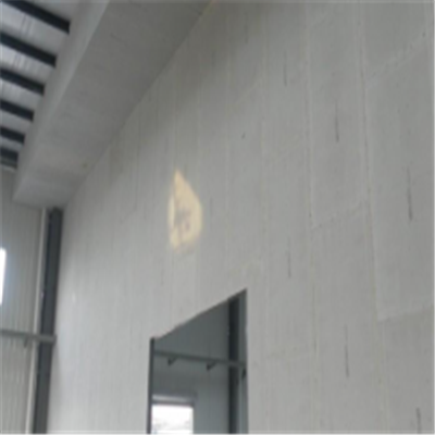 宛城宁波ALC板|EPS加气板隔墙与混凝土整浇联接的实验研讨